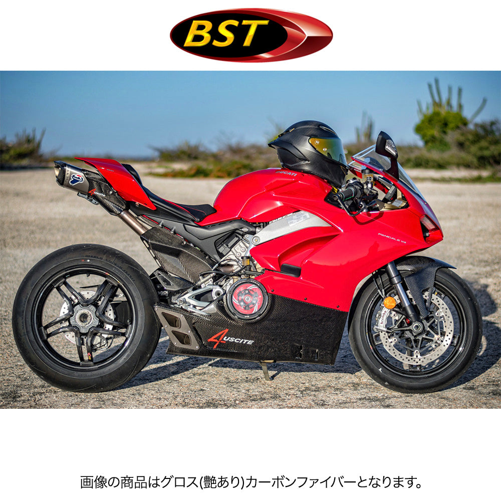 2018-2024年式 ドゥカティ パニガーレV4用 BST Rapid TEK 17 x 6J マットカーボンファイバー製リアトホイール1本 BST Rapid TEK 17 x 6.0 Rear Wheel - MATTE - Ducati 1098/R/S / 1199 / 1299 / 1299Rfe / Panigale V4 (18-24) and V2 / Streetfighter V4 and V2 / 1198 (2007-12) / SuperSport 939 (送料無料)