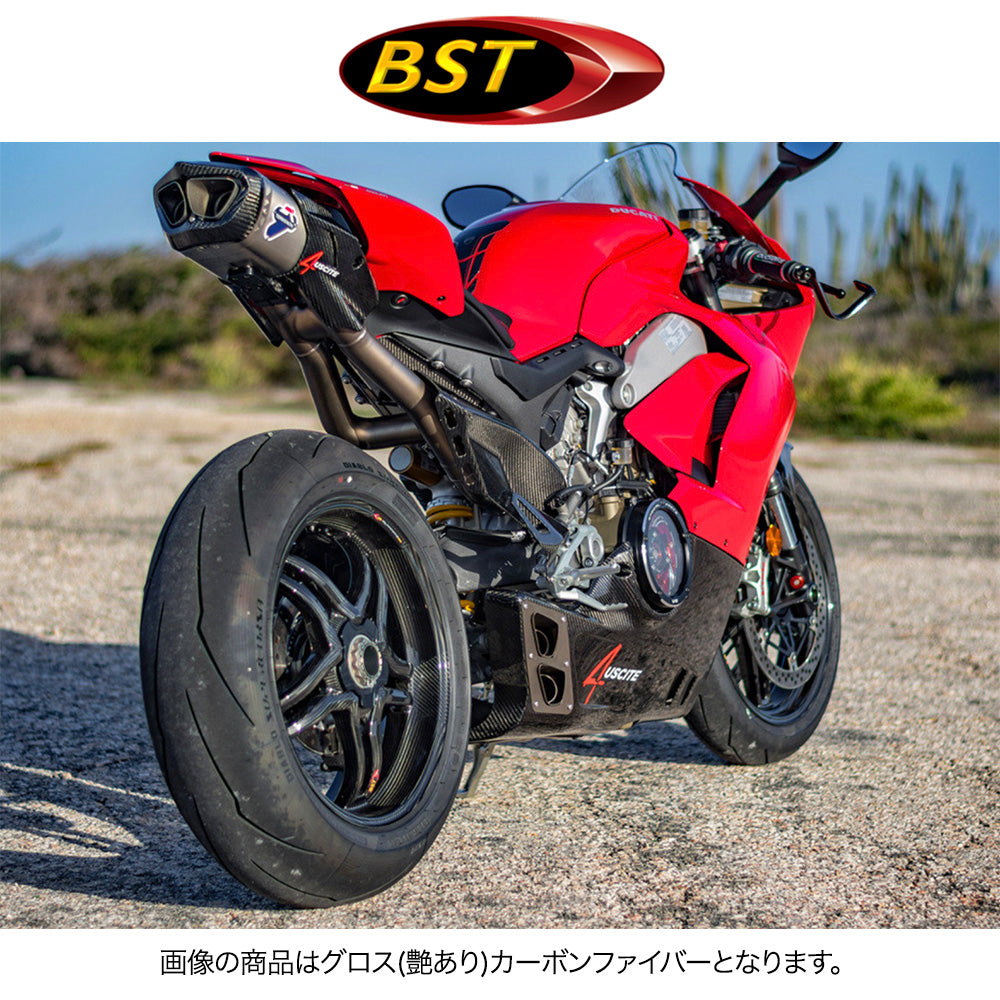 2018-2024年式 ドゥカティ パニガーレV4用 BST Rapid TEK 17 x 6J マットカーボンファイバー製リアトホイール1本 BST Rapid TEK 17 x 6.0 Rear Wheel - MATTE - Ducati 1098/R/S / 1199 / 1299 / 1299Rfe / Panigale V4 (18-24) and V2 / Streetfighter V4 and V2 / 1198 (2007-12) / SuperSport 939 (送料無料)