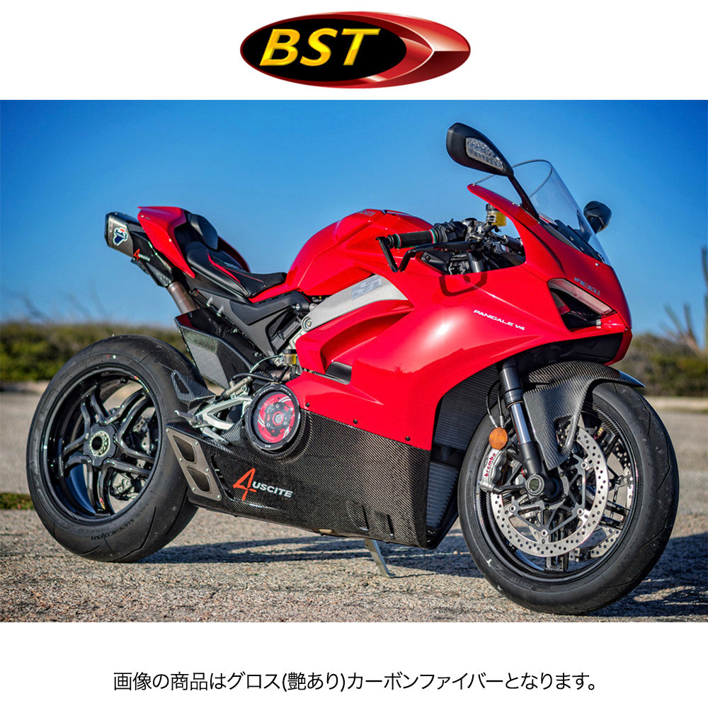 2018-2024年式 ドゥカティ パニガーレV4用 BST Rapid TEK 17 x 6J マットカーボンファイバー製リアトホイール1本 BST Rapid TEK 17 x 6.0 Rear Wheel - MATTE - Ducati 1098/R/S / 1199 / 1299 / 1299Rfe / Panigale V4 (18-24) and V2 / Streetfighter V4 and V2 / 1198 (2007-12) / SuperSport 939 (送料無料)