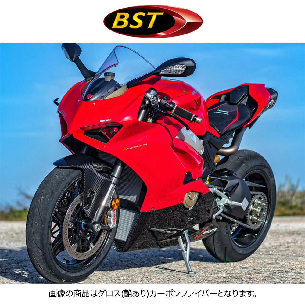 2018-2024年式 ドゥカティ パニガーレV4用 BST Rapid TEK 17 x 6J マットカーボンファイバー製リアトホイール1本 BST Rapid TEK 17 x 6.0 Rear Wheel - MATTE - Ducati 1098/R/S / 1199 / 1299 / 1299Rfe / Panigale V4 (18-24) and V2 / Streetfighter V4 and V2 / 1198 (2007-12) / SuperSport 939 (送料無料)